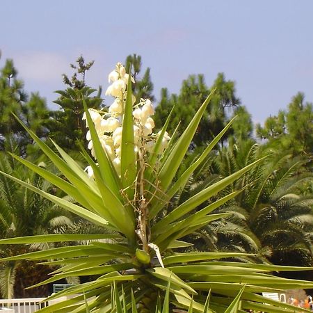 Ikaria Village Maisonette 10 Klorakas Esterno foto