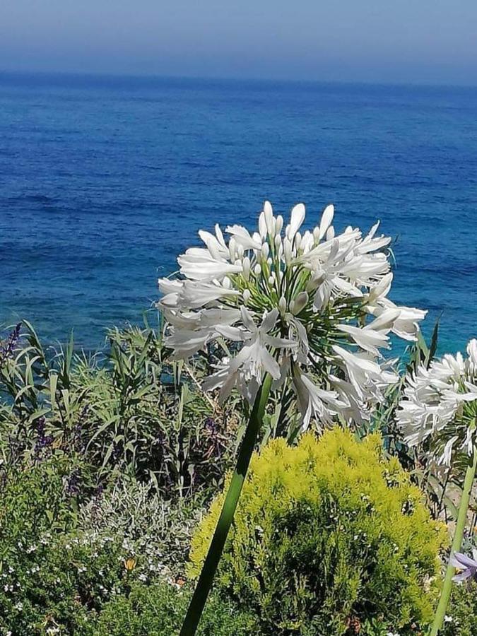 Ikaria Village Maisonette 10 Klorakas Esterno foto