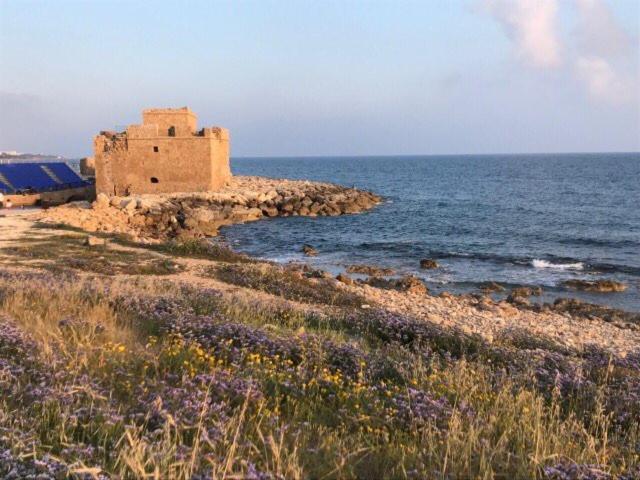 Ikaria Village Maisonette 10 Klorakas Esterno foto