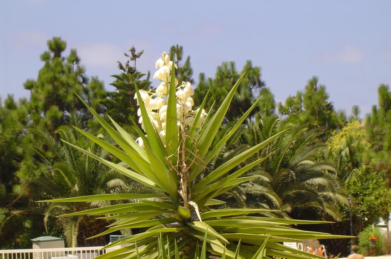 Ikaria Village Maisonette 10 Klorakas Esterno foto